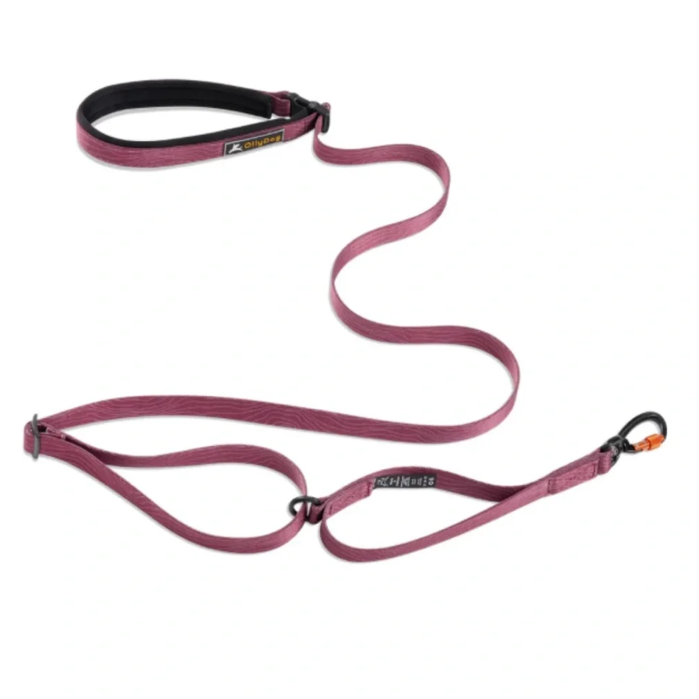 Ollydog Alpine Reflective Comfort Harness and Flagstaff Adjustable Leash